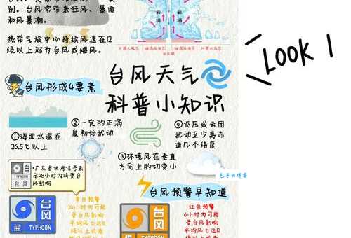 台风眼风平浪静的秘密:离心力与气压的平衡