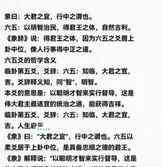 “居高临下”的“临”字含义是什么？带你深入了解