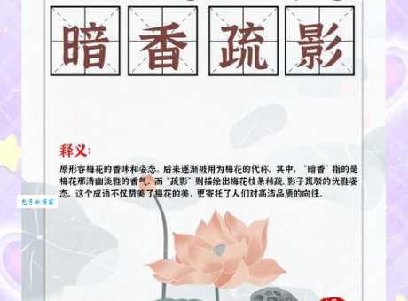 暗香疏影指的是什么花？一文带你了解梅花的独特魅力