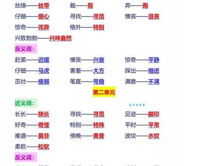 不置可否是什么意思？与近义词、反义词的详细区别