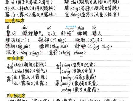 彻底弄懂“雾里看花”的意思，附例句和近义词