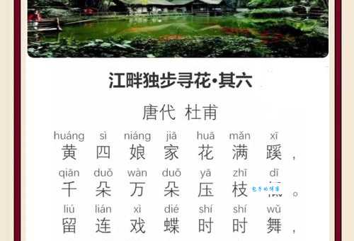 江畔独步寻花的意思是什么？杜甫这首诗到底讲了什么？