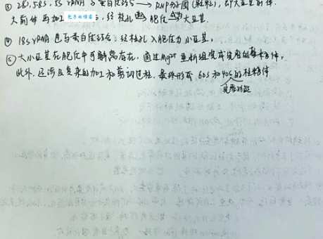 细胞工厂核糖体：详细解读其组成成分及作用机制