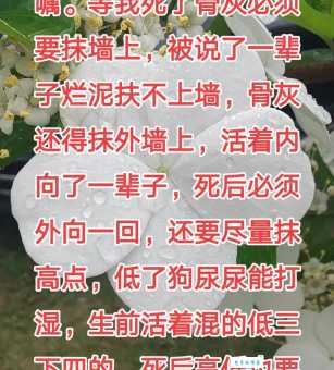 一文读懂“路不拾遗”是什么意思？附例句和典故