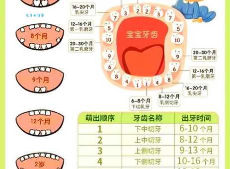 牙牙学语是什么意思？宝宝学说话的阶段详解