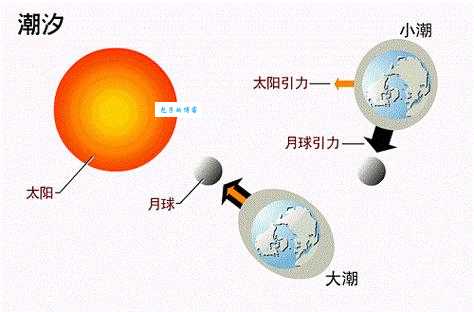 为什么会有潮起潮落？太阳月球的引力作用！