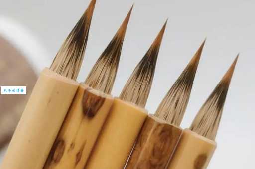 紫毫笔是用什么动物的毛做的？看完你就知道了