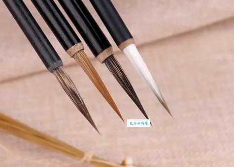 紫毫笔是用什么动物的毛做的？看完你就知道了