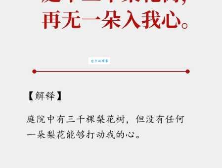 枝折花落是什么意思?简单易懂的解释和例句分享