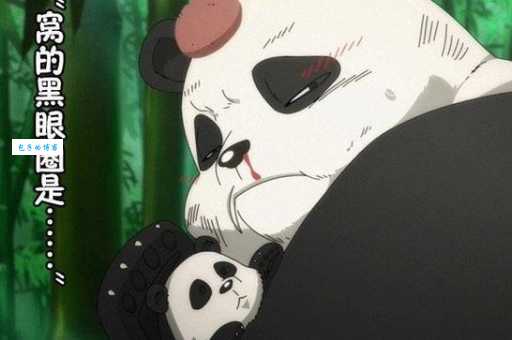 黑眼圈声明是什么梗？带你了解网络流行语