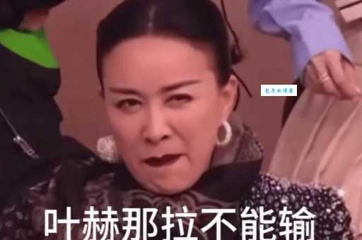 五旬老太守国门：那英综艺表现引发的网络热词解读