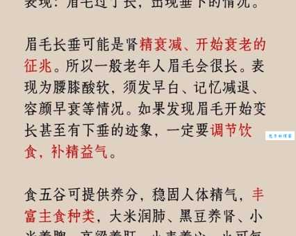 “须眉男子”是什么意思？古今含义深度解读