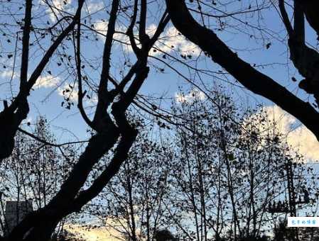 斑驳是什么意思及用法？不同语境下斑驳的解释