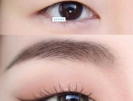 丹凤眼是什么样的？详解丹凤眼特征及辨别方法