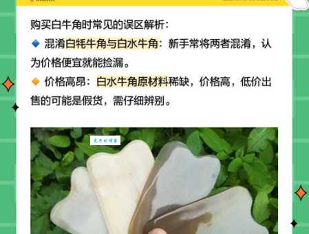 黑牛白角是什么意思及用法？看这里就明白了