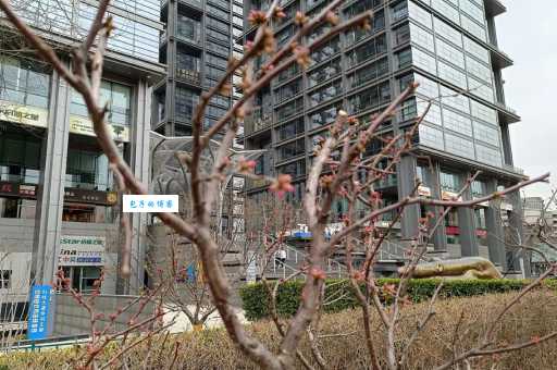 解密“五道口职业技术学院”,这个名字的来历是什么?