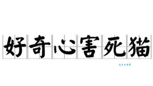 好奇害死猫什么意思?详解这句谚语的起源和含义