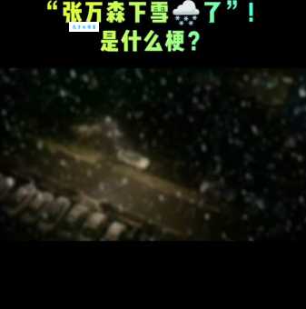 “张万生森下雪了”的含义及出处详细介绍
