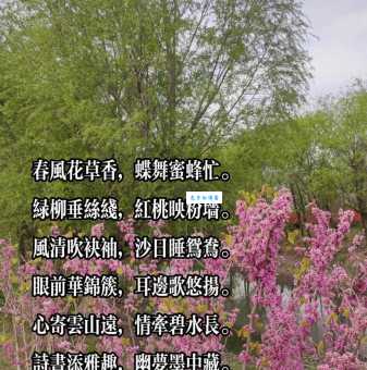 春风拂面是什么意思及用法？教你轻松理解和运用
