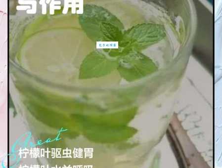 喝柠檬水有什么神奇功效？它的作用你了解多少？