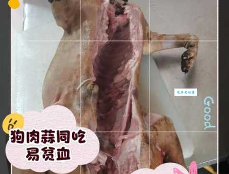 狗肉搭配什么食物会中毒?详解狗肉相克食物