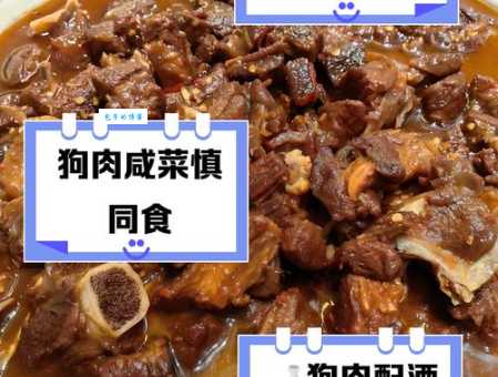 狗肉搭配什么食物会中毒?详解狗肉相克食物