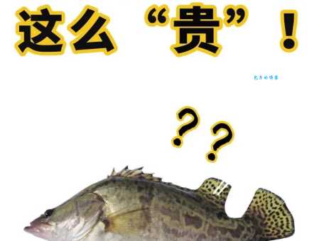 鳜字读音是什么？教你区分鳜和桂的读音区别。