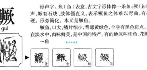鳜字读音是什么？教你区分鳜和桂的读音区别。