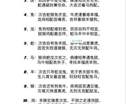 揭秘:哪些生肖最容易斤斤计较?别再和他们做朋友了!