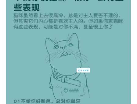 家里猫咪讨厌你？十个表现告诉你它恨你有多深