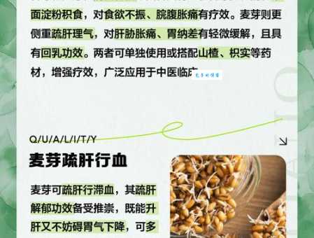 了解谷芽的功效与作用：助消化，健脾胃，好吸收
