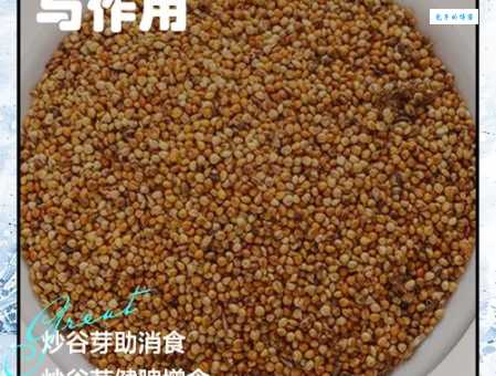 了解谷芽的功效与作用：助消化，健脾胃，好吸收