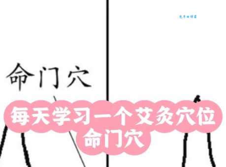 命门是什么意思？中医穴位与人体要害部位详解