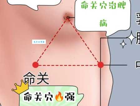 命门是什么意思？中医穴位与人体要害部位详解