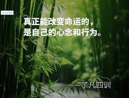 命运多舛如何读？带你轻松理解其含义