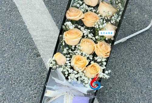 玫瑰送11朵还是19朵？寓意大不同，选哪种更合适？