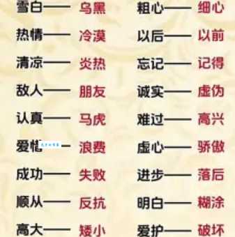 你知道偏僻的反义词吗？繁华与热闹的城市生活