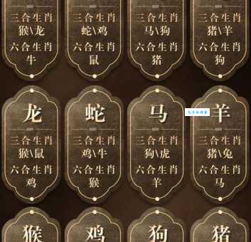 三五成群打一生肖是什么动物？答案揭晓！