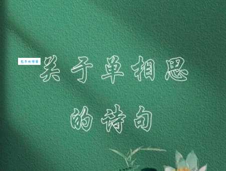 如何区分单相思和暗恋？单相思的真正含义