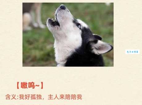 声色犬马是什么意思及例句？教你如何正确理解和运用