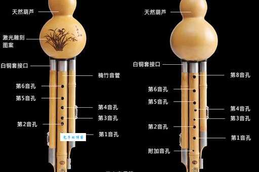 丝竹指什么乐器？详解丝竹乐器种类及代表乐器