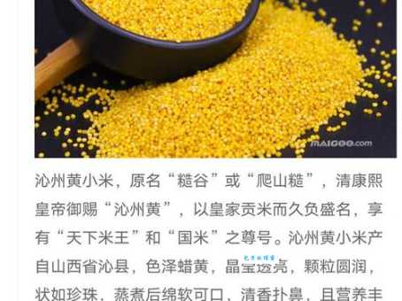 深入了解小米的营养价值和功效：改善消化，增强体质