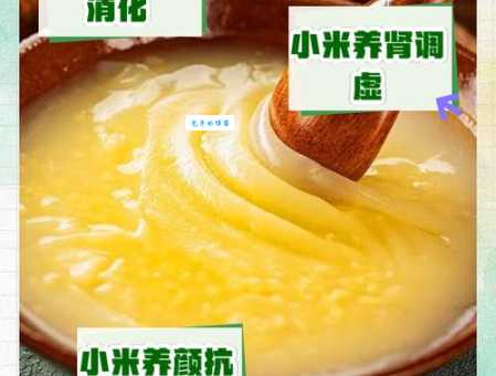 深入了解小米的营养价值和功效：改善消化，增强体质