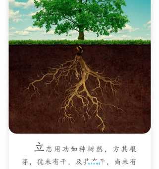 树无根不长人无志不立:励志名言的现代解读