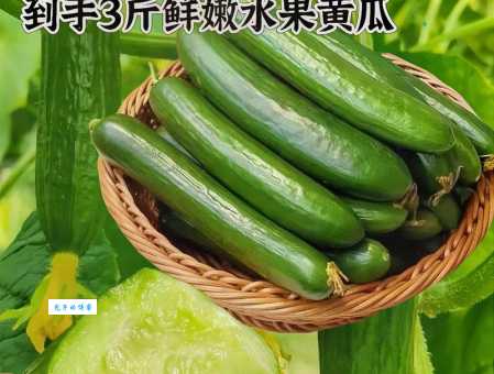 是绿色东西的水果有哪些？夏天必吃的绿色水果推荐