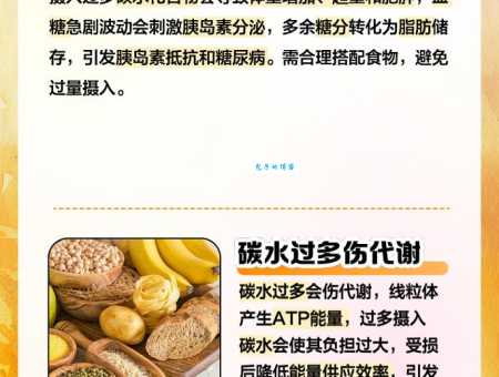 碳水化合物是什么？对人体健康有什么影响？