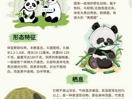 天天熬夜的动物是谁？揭秘熊猫的秘密！