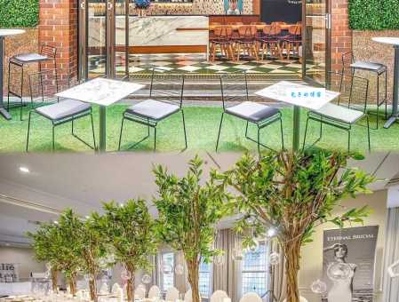 悉尼在哪个国家？揭秘悉尼的国家归属与城市地位