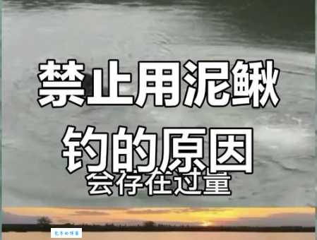 为什么不能用泥鳅钓鱼？专家解读其危害与法律风险