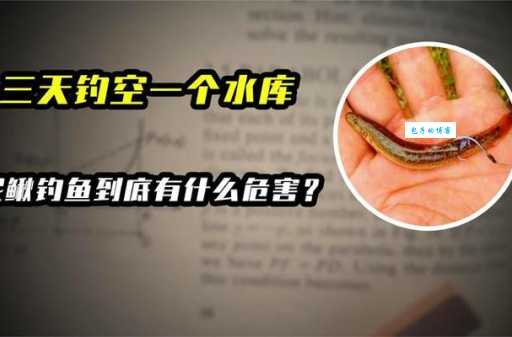 为什么不能用泥鳅钓鱼？专家解读其危害与法律风险